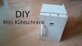 Mini Kühlschrank selber bauen PeltierKühlung  András erklärts [upl. by Valoniah]