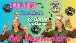 How to Inoculate AGAR with SPORES and make LIQUID CULTURE with AGAR EASY FOR BEGINNERS [upl. by Tnattirb]