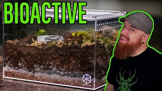 How To Build a Tarantula Bioactive Enclosure  YOU CAN DO IT [upl. by Brass]