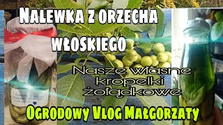 Nalewka z orzecha włoskiego nasze własne kropelki żołądkowe [upl. by Dahlia]