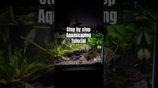 Step by step aquascaping [upl. by Arahsak]