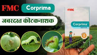 Corprima Insecticide  FMC  कॉर्प्रीमा कीटकनाशक  Chlorantraniliprole 35 WG  Coragen  Dose [upl. by Harcourt]