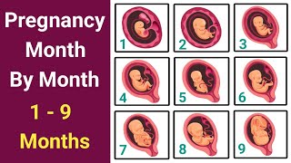 Pregnancy Journey Month By Month  Fetal Development Month By Month  pregnancymonthbymonth [upl. by Jamila]