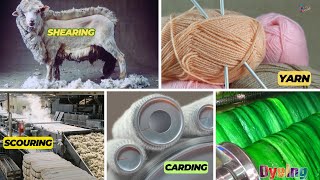 Wool Yarn Manufacturing Process  From Sheep to Skein [upl. by Tezzil969]