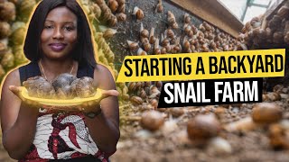 A Simple Formula To Making Millions In Snail Farming  2023 Guide [upl. by Warner483]