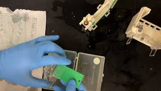 How to stain SDSPAGE gels using Coomassie Blue [upl. by Yde]