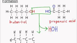 Sci 30 Alcohols Carboxylic Acids and Esters Part 3 Naming Esters [upl. by Jerroll]