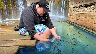 Catching Wild Aquarium Fish at a German Hot Spring [upl. by Leamiba]