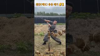 진검베기  짚단예도 응용 베기 3 straw swordsmanship cuttingskills martialarts korea sword [upl. by Gnohc]