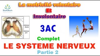 la motricité volontaire et involontaire 3ac cour complet [upl. by Erdnua235]