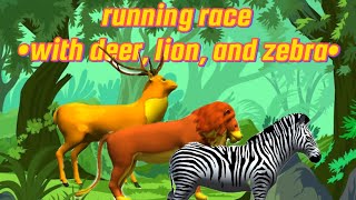 RUNNING RACE ANIMALSWITH DEAR LION AND ZEBRA [upl. by Ahsille52]