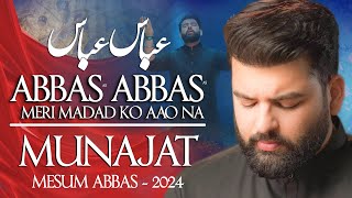 Abbas Abbas Meri Madad Ko Aao Na  Mesum Abbas Nohay 2024  Munajat Mola Abbas Noha [upl. by Misa]