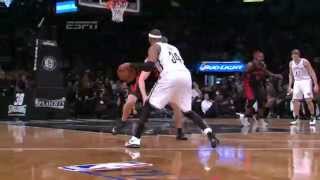 Top 10 Brooklyn Nets Plays of the 20132014 Season [upl. by Studnia802]