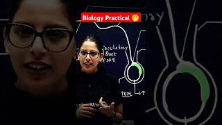 Samapti mam angry 💢😡 on biology practical 🤭🤭 Part2 trending viral ytshorts physicwallh [upl. by Einwahr26]