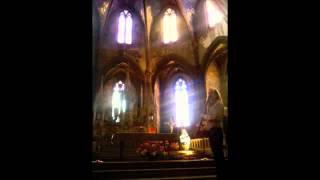 overtone flute played in Mirepoix by Max Brumberg flute harmonique [upl. by Narmis]