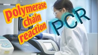 process of polymerase chain reactionbiochemistry pcr method science icmr  CSIR [upl. by Aneehsak259]