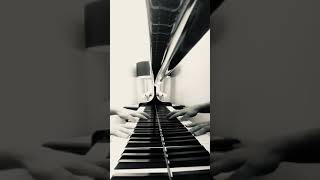 Frescobaldi Se l’aura spira Piano Accompaniment [upl. by Hertha]