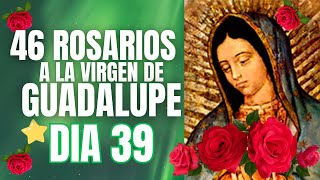 DIA 39 ⭐ 05 DE DICIEMBRE ESTRELLA LUZ 🌹46 ROSARIOS A LA VIRGEN DE GUADALUPE🌹 [upl. by Duahsar]