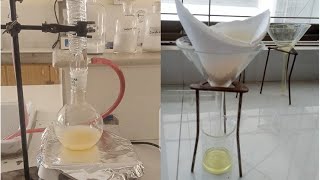 Synthesis of benzoyl hydrazide  reaction bw ester and hydrazine hydrated chemistry [upl. by Warton]