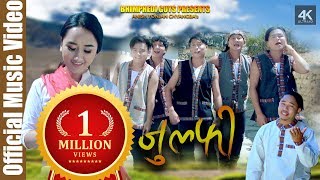 JULFI SONG  Bhimphedi Guys  Niranjali Lama  ANISH YONJAN CHYANGBA  Nepali Song 2019 [upl. by Liagibba]