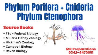 Phylum Porifera Phylum Cnideria amp Ctenophora Characteristics amp Classification  Kingdom Animalia [upl. by Irmina]