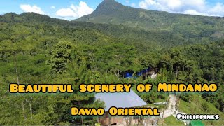 TRAVEL TOUR TO CATEEL DAVAO ORIENTAL amp ENJOY THE BEAUTIFUL SCENERY OF MINDANAO 4K TOUR [upl. by Whittemore]