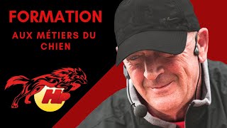 Cas décole sur Problèmes agressivité Rottweiler [upl. by Yellat]