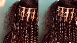 TRESSE BIOLOGIQUETRESSE BIONOTLLESRASTA KONGO CLEAN 😎 [upl. by Hauger]