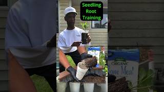 Seedling root training garden gardening [upl. by Etnahsal370]