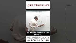 Cystic Fibrosis Gene drnajeeb drnajeeb drnajeeblectures shorts [upl. by Esiuqcaj]