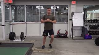 Banded Pallof Press with Lateral Lunge [upl. by Nahtanaoj593]