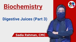 Bile  Pancreatic juice  Alkali tide  Digestion amp Absorption  Biochemistry bangla lecture [upl. by Acinoreb]