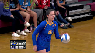 Wayzata vs Champlin Park Section 5AAA Girls High School Volleyball [upl. by Garlaand]