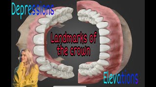 دينتال اناتومي  الجزء الخامس  landmarks of the teeth [upl. by Eanehs]