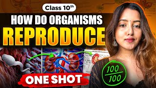 CLASS 10 HOW DO ORGANISMS REPRODUCE  BIOLOGY CLASS 10  SHUBHAM PATHAK science cbseclass10 bio [upl. by Anilrac831]