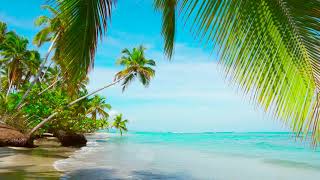 4k Palm Forest on the Beach Relaxing Ocean Waves Nature Sounds Ocean Sounds for Sleep Meditation [upl. by Enoyrt]