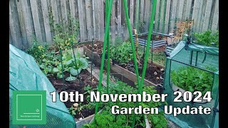 10th November 2024 Garden Update [upl. by Ahsia]