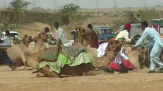 Jaisalmer Desert Festival [upl. by Ayotac]