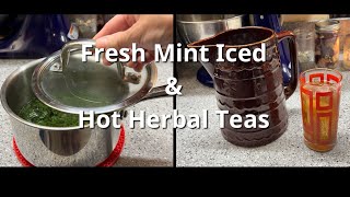 Preserving amp Using the Mint Harvest  Fresh Mint Iced amp Herbal Tea Sweetened with Homegrown Stevia [upl. by Lesser]