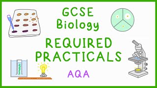 All BIOLOGY Required Practicals  GCSE Science AQA [upl. by Wang]