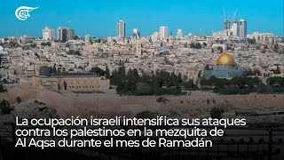 Reporte  La ocupación israelí intensifica sus ataques contra palestinos en la mezquita de Al Aqsa [upl. by Nrevel801]