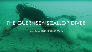 The Guernsey Scallop Diver Hasselblad H6D100C 4K Movie [upl. by Abisha779]