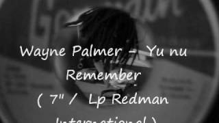 Wayne Palmer  Yu nu Remember stalag riddim [upl. by Kaden865]