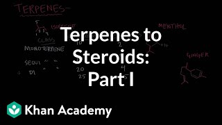 From terpenes to steroids part 1 Terpenes  Endocrine system physiology  NCLEXRN  Khan Academy [upl. by Rimidalv]