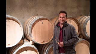 Domaine Bernard Moreau ChassagneMontrachet  Vendanges 2017 [upl. by Tjaden]