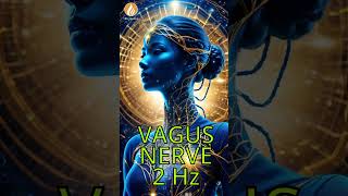 Discover the Benefits of Vagus Nerve Activation with 2 Hz  90 Hz Frequency Music [upl. by Leahpar875]