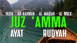 Surah YaseenAr RahmanAl WaqiahAl MulkAyat KursiAl IkhlasAl FalaqAn NasRuqyah By Alaa Aqel [upl. by Elimay]