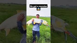 Got a monster fishinglife fishtank fisherman fishvideo river bass fish aquarium catfish [upl. by Ordnas]