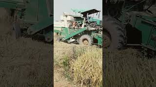 John deere harvester 2024 harvester farming padi raita [upl. by Aldis]