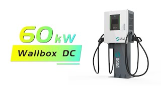 DC Wallbox EV Charger Detail Display [upl. by Thema]